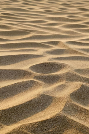 abstract texture of sand dune in oman the old desertの素材