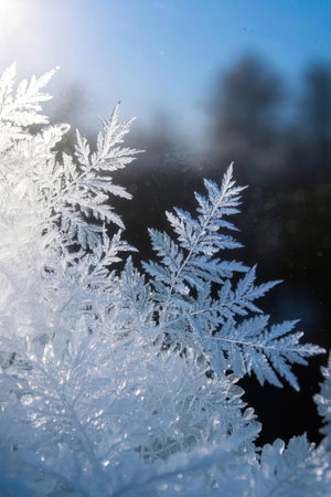 Frosty natural pattern on the window glass. Winter background.の素材