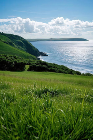 Landscape with green meadow and blue sea in the background.の素材