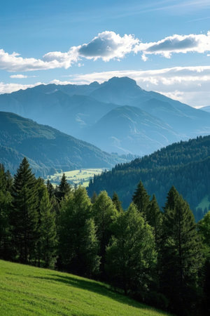 Mountain landscape with coniferous forest in the foreground, Austriaの素材