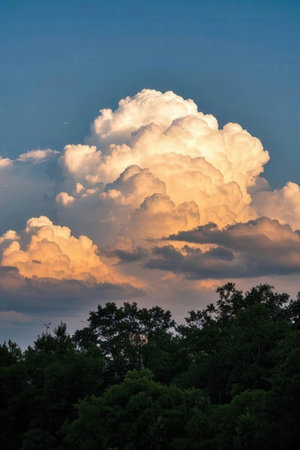Dramatic sky with cumulus clouds and trees at sunset.の素材
