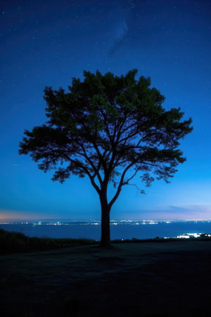Night landscape with a lonely tree on the shore of the sea.の素材