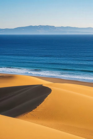 Dunes of Maspalomas, Gran Canaria, Canary Islands, Spainの素材