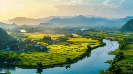 Aerial view of rice field and river in countryside at sunset.の素材