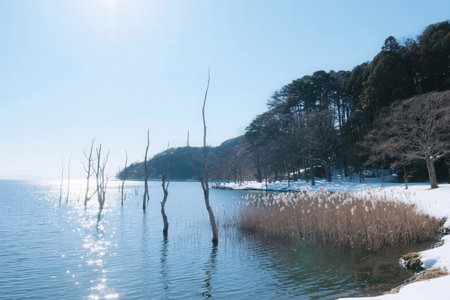 Winter landscape with lake, trees and blue sky in the background.の素材