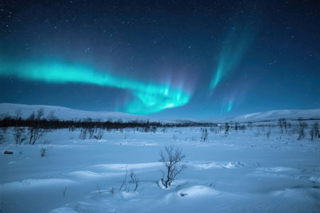 Aurora borealis, northern lights in the night sky over winter landscapeの素材