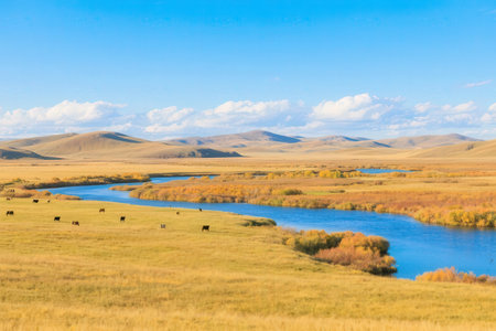 Autumn grassland and river in the steppe, Mongolia.の素材