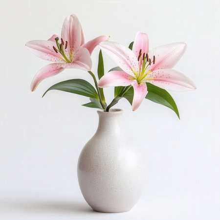 Pink lily flowers in a vase on a white background.の素材