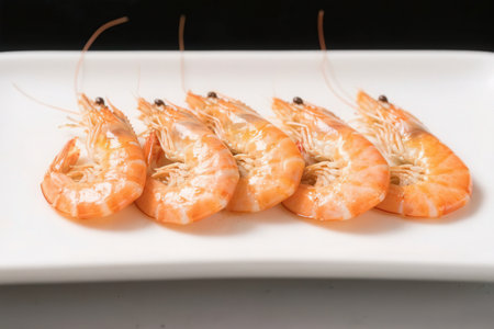 Shrimps on a white plate on a black background closeupの素材