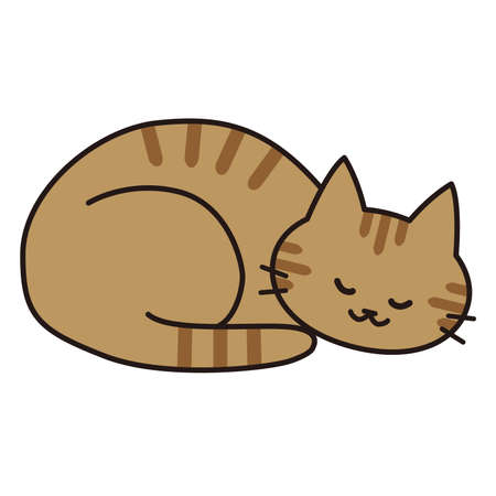 A red tabby cat that curls up and sleeps happily.のイラスト素材