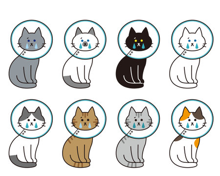 Whole body set of various cat breeds crying with Elizabethan collar.のイラスト素材