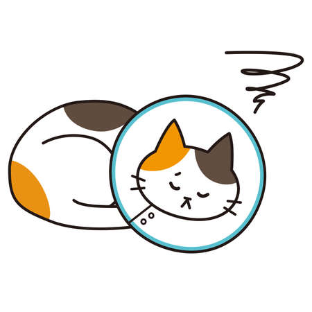 A calico cat that looks sick with an Elizabethan collar.のイラスト素材