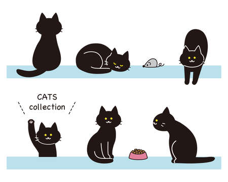 Black cat set with toys and cat food.のイラスト素材