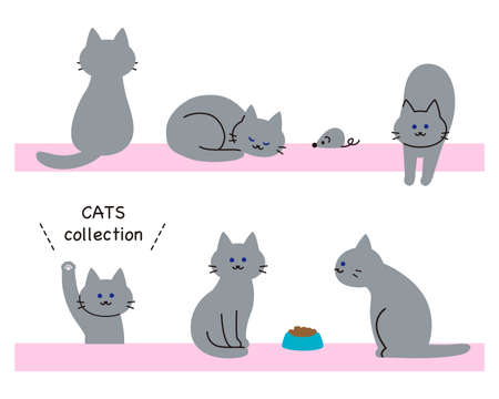 Cat set with toys and cat food.のイラスト素材
