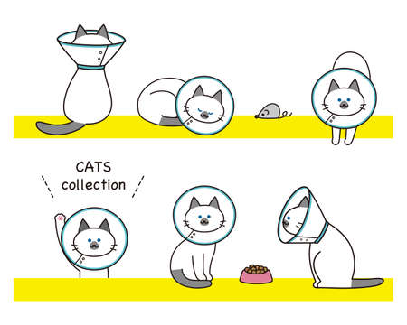Set of Pointed cat wearing Elizabethan collar with toys and cat food.のイラスト素材