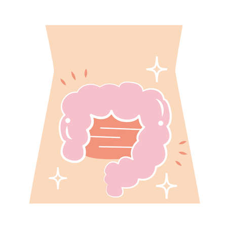 Very healthy and super clean intestines.のイラスト素材