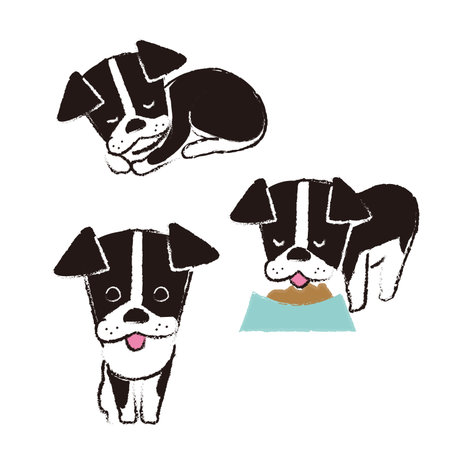 Illustration set of dogs sitting, sleeping, and eating.のイラスト素材