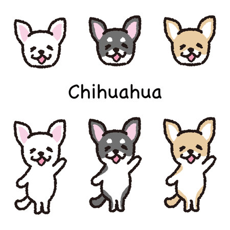 Smiling chihuahua standing on two legs face and whole body set.のイラスト素材
