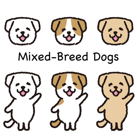 Smiling toy poodle standing on two legs face and whole body set.のイラスト素材
