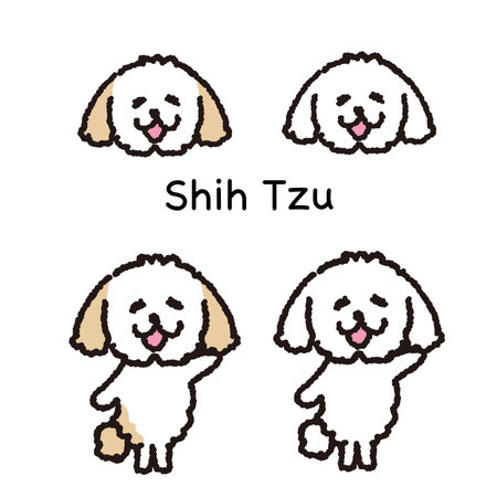 Smiling shih tzu dog face and whole body set.のイラスト素材
