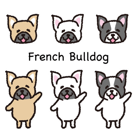 Smiling french bulldog standing on two legs face and whole body set.のイラスト素材