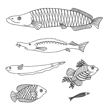 Set with various fishes isolated on white backgroundのイラスト素材