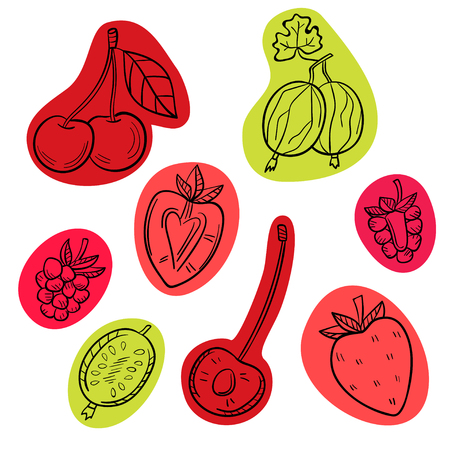 A set of different berries on a white background.のイラスト素材