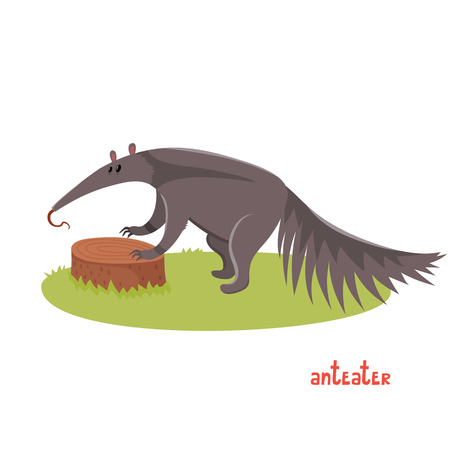 Cute anteater in cartoon style.のイラスト素材
