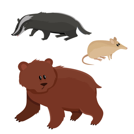 Set of cute bear, badger, bandicoot in cartoon style.のイラスト素材