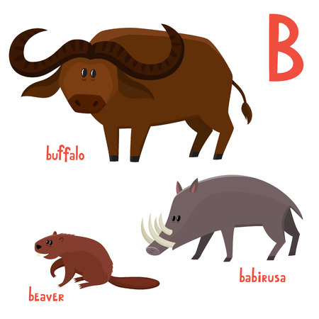 Cute beaver, buffalo bull, babirusa in cartoon style. Vector illustration of wild animals isolated on white background. Cute zoo alphabet.のイラスト素材
