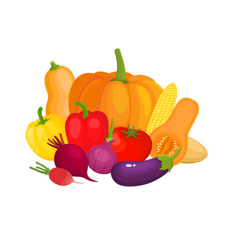 Bright vector illustration of colorful yellow, orange, red, violet vegetables.のイラスト素材