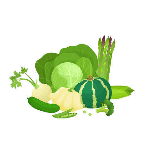 Bright vector illustration of colorful green vegetables.のイラスト素材