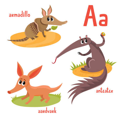 Exotic wild animal in cartoon style. Vector illustration of armadillo, anteater, aardvark isolated on white. Cute zoo alphabet, letter A. Illustration used for magazine, poster, card, book, web pages.のイラスト素材