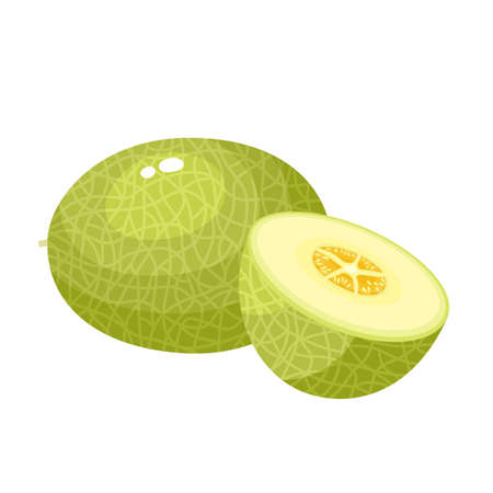 Bright vector illustration of colorful half, slice and whole of juice melon. Fresh cartoon vegetable isolated on white background.のイラスト素材