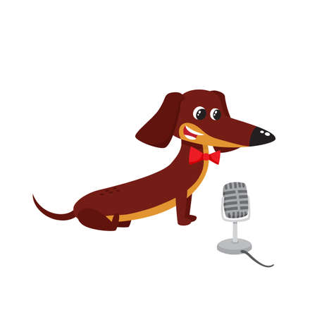 illustration of cartoon brown funny dachshund isolated on white background.のイラスト素材
