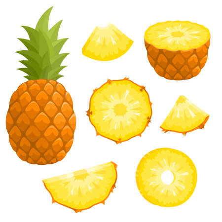 Bright vector set of fresh pineapple isolated on whiteのイラスト素材