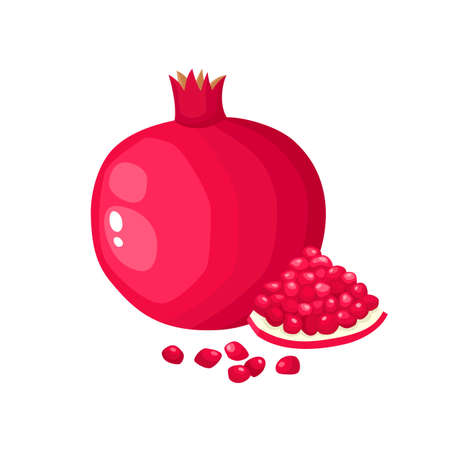 Bright vector illustration of colorful juice pomegranate isolated on white.のイラスト素材