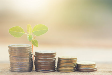 coin stack growing graph with sunlight
