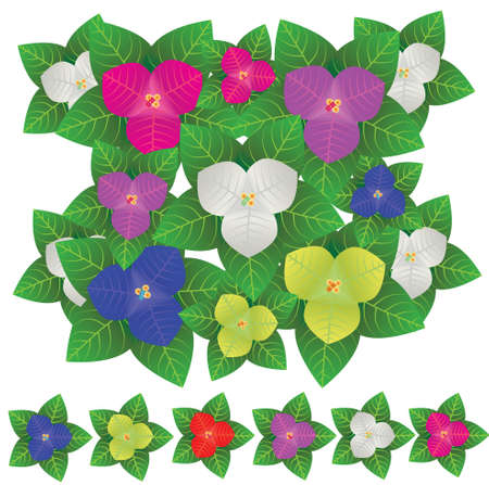 Set of vector compositions from Bougainvillea flowers. for wedding concept - flowers, Floral posters, vector arrangements for greeting card or invitation design, and other.のイラスト素材