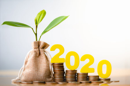Wood block 2020 and Coins in sack with small plant tree. Pension fund, 401K, Passive income....