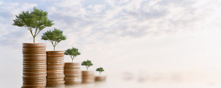 Young plant grow and coins stack, Pension fund, 401K, Passive income, Investment and retirement concept. savings and making money, Business investment growth concept. Risk management.の写真素材
