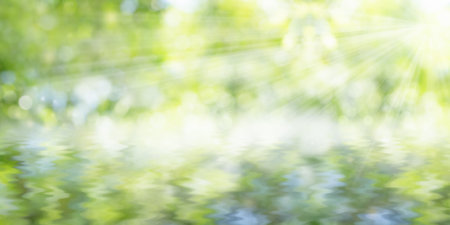 Green bokeh on nature art abstract blur background.Beautiful leaf texture in sunlight. cover pages. close-up of macro with copy space for text.の写真素材