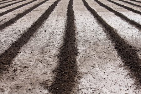 Agricultural field ploughed,の写真素材