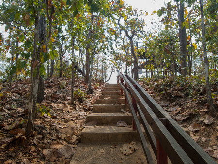 Ladder up to the mountain