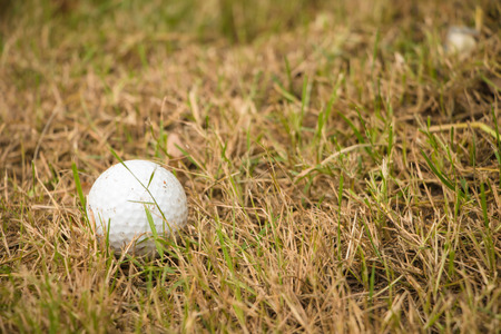 Golf ball drop on dead grassの写真素材