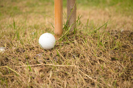 Unlucky golf ball drop under the small tree and difficult to swingの写真素材