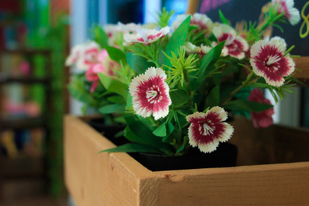 Decorate plastic flowers in flowerpotの写真素材