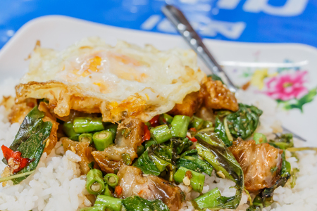 Close up Steamed rice topped with stir-fried crisp pork , basil and over hard fried egg,Selective focusの写真素材