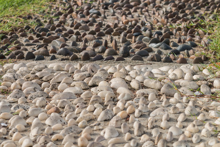 Mini stone dark and white half and half bury on the sand for decorate in the garden with sunlight, on Selective focusの写真素材