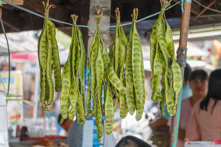 Bunch of Parkia speciosa stink beans, stink bitter beans or green beans for sell in tha Thailand marketの写真素材
